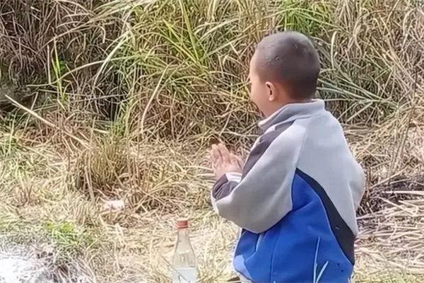 5岁娃上坟藏冥币带回家要送朋友:还有男孩在奶奶坟前跪求不写作业不挨打