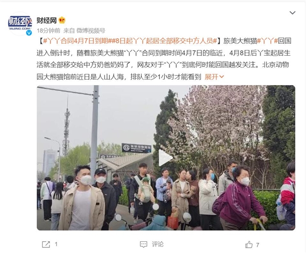 旅美大熊猫丫丫回国进入倒计时：网友期盼回家