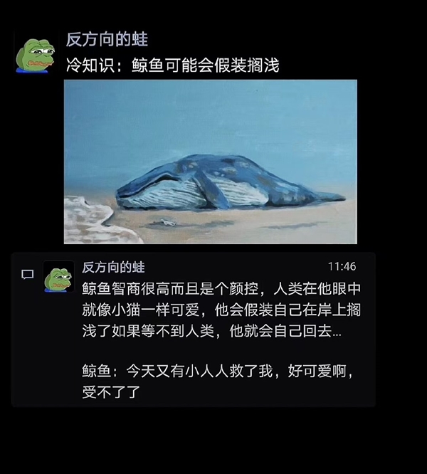 博主“科普”鲸鱼会假装搁浅吸引人来救 博物杂志辟谣:九死一生