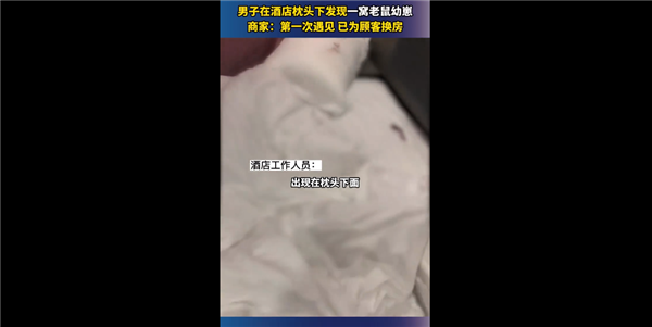 男子在电竞酒店枕头下发现一窝老鼠 官方回应引网友吐槽：怎么能住