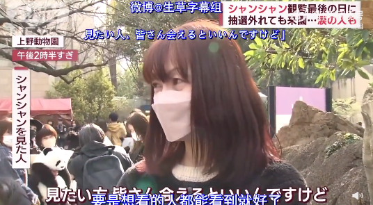 旅日大熊猫香香坐顺丰飞机到家!1个月后与公众见面