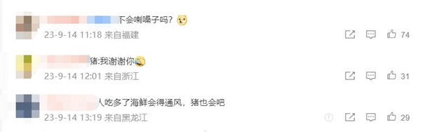 男子给猪喂皮皮虾螃蟹：想让它吃好点 养大了自己吃