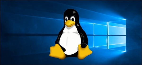 一个艰难的决定！“Linux中国” 开源社区宣布停止运营