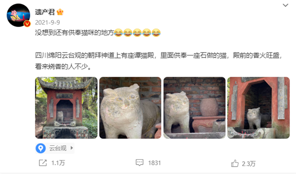 中国奇谭小猫庙原型找到了：在国内、灵感并非《夏目友人帐》