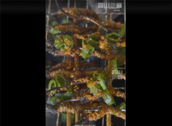 太卷了!四川烧烤虫草火了 还有牦牛刺身:网友直呼太硬核