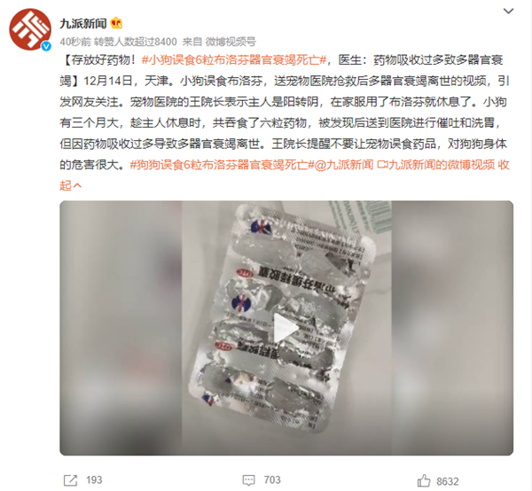 小狗误食6粒布洛芬器官衰竭死亡 医生提醒：过量用药危害甚大