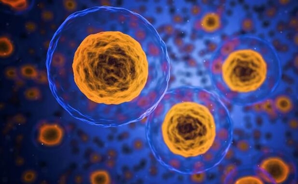 科学家演示用电控制人体细胞基因表达：触发生成胰岛素