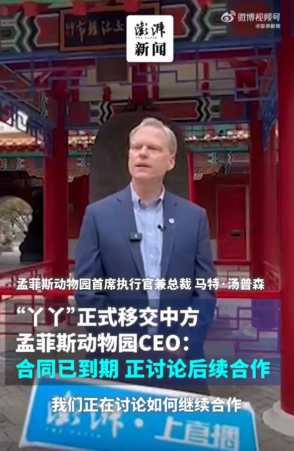 旅美大熊猫“丫丫”正式移交中方 孟菲斯动物园:讨论后续合作