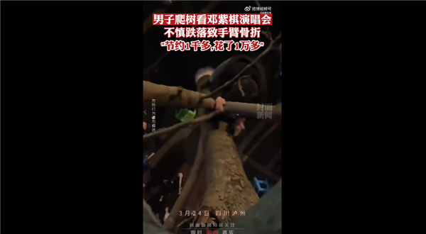 男子爬树看邓紫棋演唱会致手臂骨折 省1千花1万:网友直呼追星也要注意安全