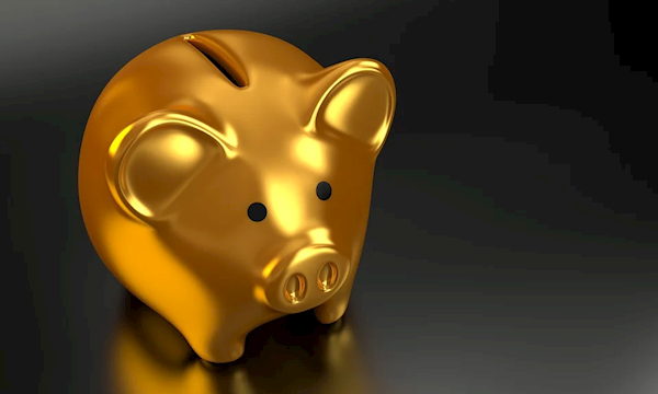 多年前买的熊猫金币涨了800元：有人8斤黄金变现174万