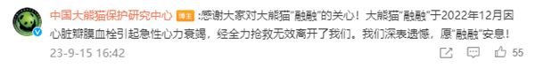 大熊猫“公主”和“融融”已离世：官方公布原因令人痛心