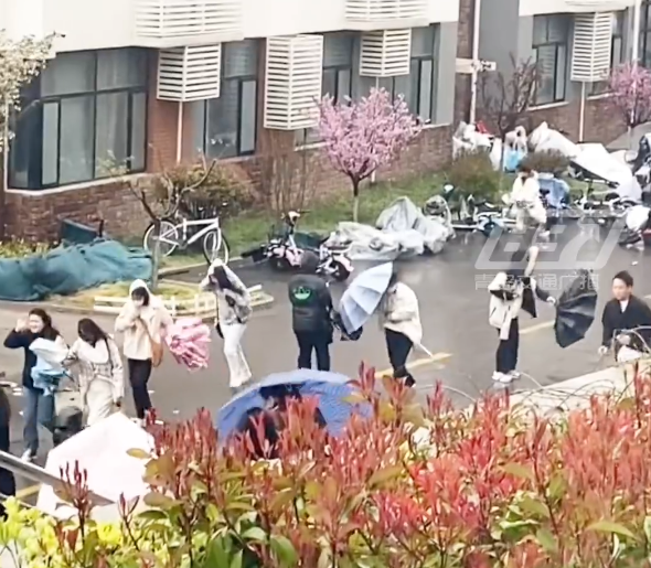 青岛发布大风橙色预警!98斤女生差点被9级大风吹跑:伞都折了