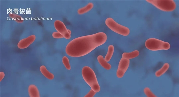 这种私房美食很危险 所含堪比化学武器 400g可毒死地球所有人