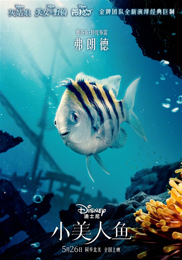 《小美人鱼》真人版角色海报发布:5月26日内地上映!