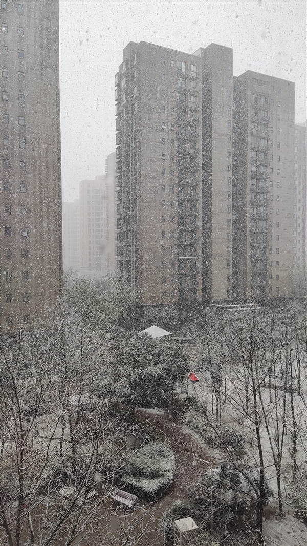 暴雪蓝色预警！河南多地迎来3月桃花雪：朋友圈雪景刷屏