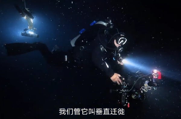 胡歌南海深潜：亲眼见证深海生物“垂直迁徙” 还捡回两块电池