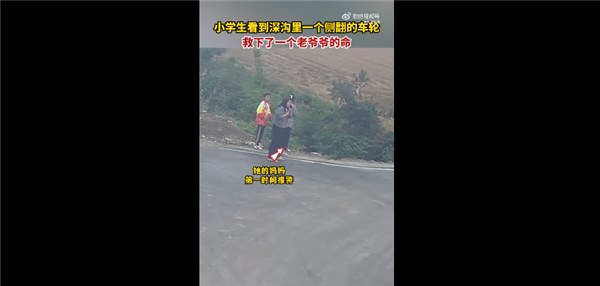 小学生发现深沟露出车轮救人一命被网友点赞心细:老人驾老头乐失控导致