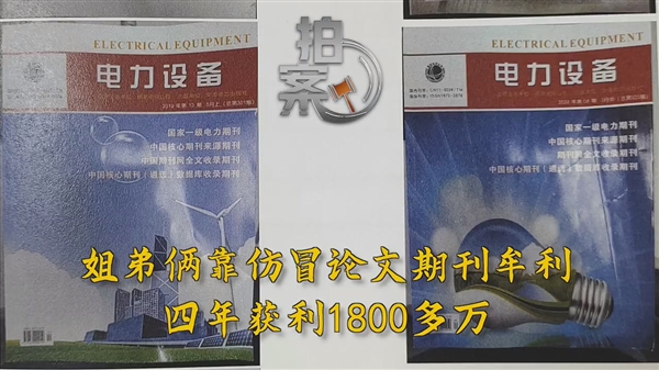 姐弟俩仿冒论文期刊：四年赚了1800多万