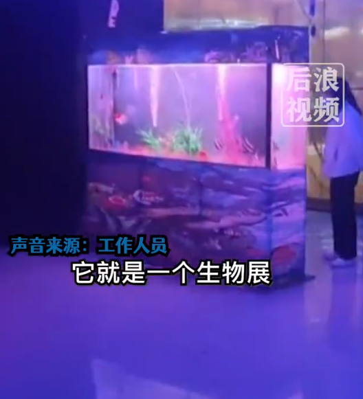 游客吐槽25元看海洋馆就几个鱼缸:现场和家里客厅一样大