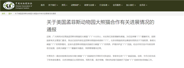 大熊猫丫丫回国后将和萌兰做邻居！网友突击检查全世界大熊猫