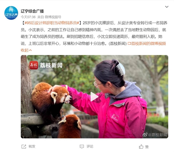 95后设计师辞职当动物饲养员:上班以后非常开心