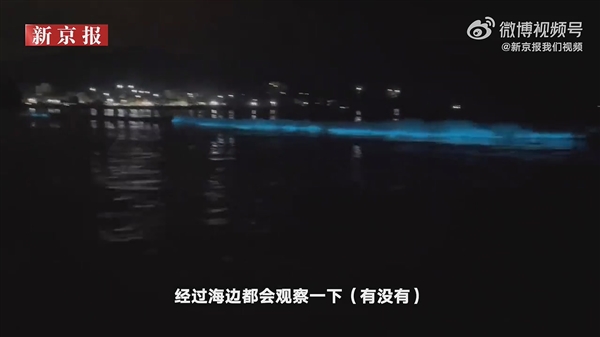 广东海陵岛海滩连日现“蓝眼泪”:3mm微生物的盛宴