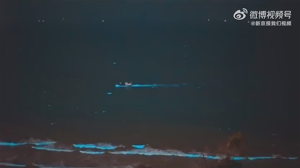 广东海陵岛海滩连日现“蓝眼泪”:3mm微生物的盛宴
