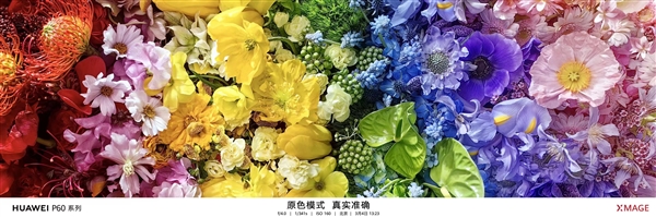 华为P60 Pro拍照秒所有：七大全球第一！拍月亮更神了