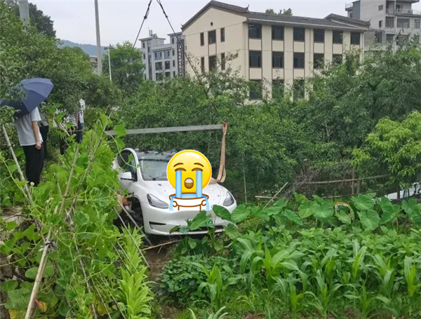 男子弯腰捡瓶子 特斯拉Model 3一头扎进农田 如此分心实属不该
