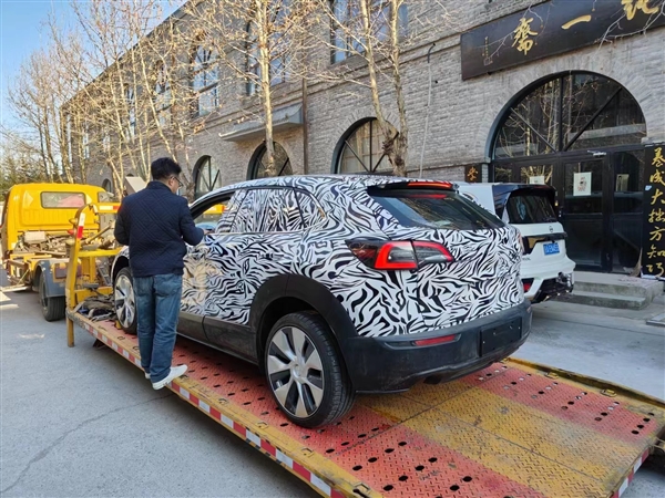 特斯拉最入门车型国内现身?别被骗了:“披着狼皮的羊”而已