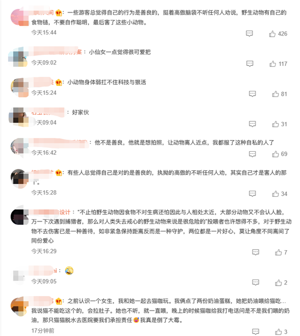 游客为拍照不听劝阻喂狐狸吃面包 无视劝阻!会危害动物