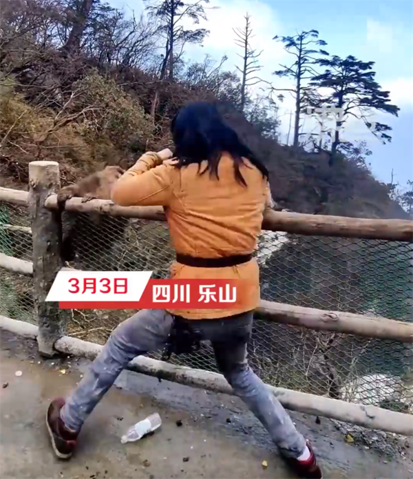 一男子和峨眉山猴子练搏击互殴 当事人回应:条件反射、请勿模仿