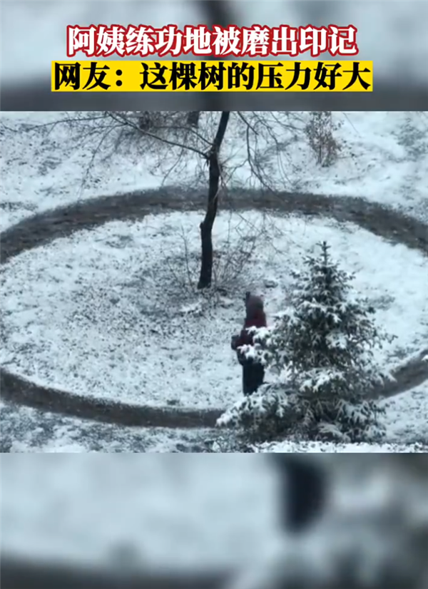 阿姨常年练功地被磨出印记 画面让网友看笑：太执着 树压力好大