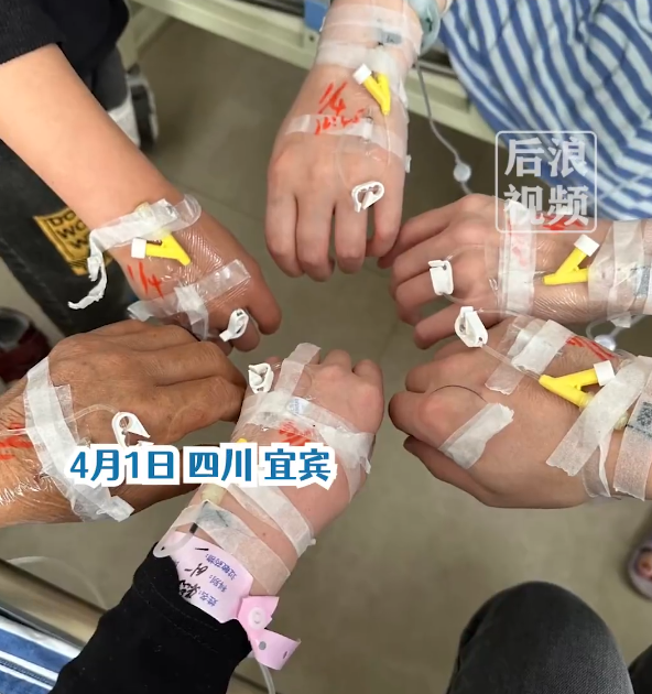 野菜别乱采!一家六口扫墓后误采毒草食用中毒 官方科普:仅可外敷消肿