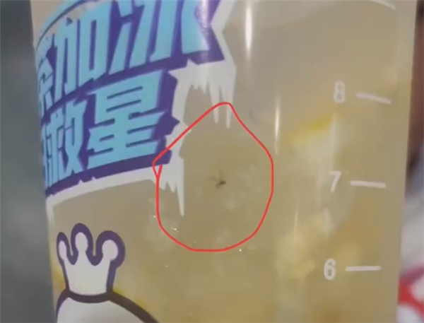 女子买蜜雪冰城接连3杯都有虫 店长：会道歉赔偿