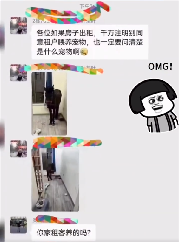 租客跟房东说养宠物结果是匹马 发现时房间堪比垃圾场