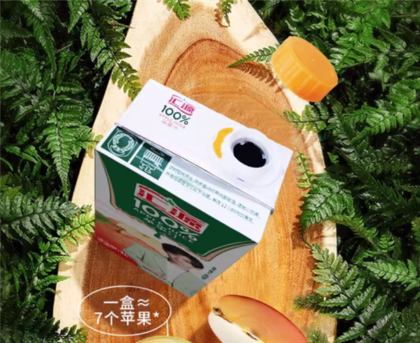 春节聚餐必备！汇源浓缩100%维C果汁1L 2盒到手22.8元