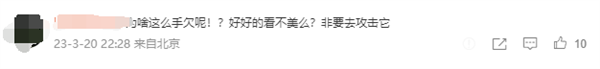 男子用石头砸白鹇被过路女子喝止获网友点赞:国家二级保护动物
