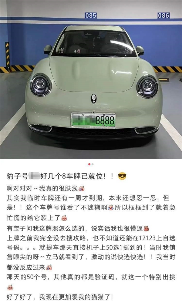 最“丑”绿色车牌或在2年内取消 网友热议电车优待早该结束!国人将车牌代表面子