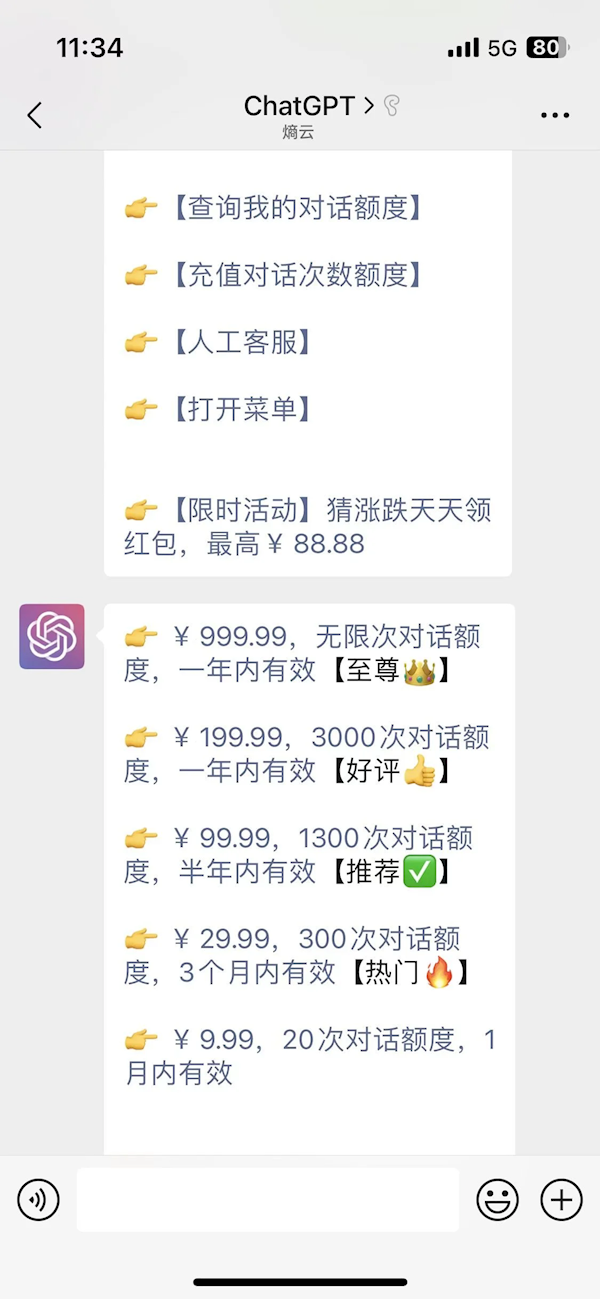 “ChatGPT中文版”上线：遭国内网友爆破