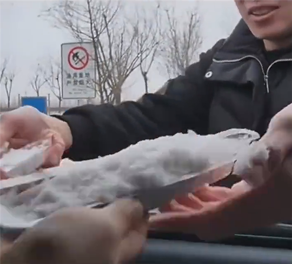 小朋友把山东的雪带回福建：半路化了 崩溃大哭