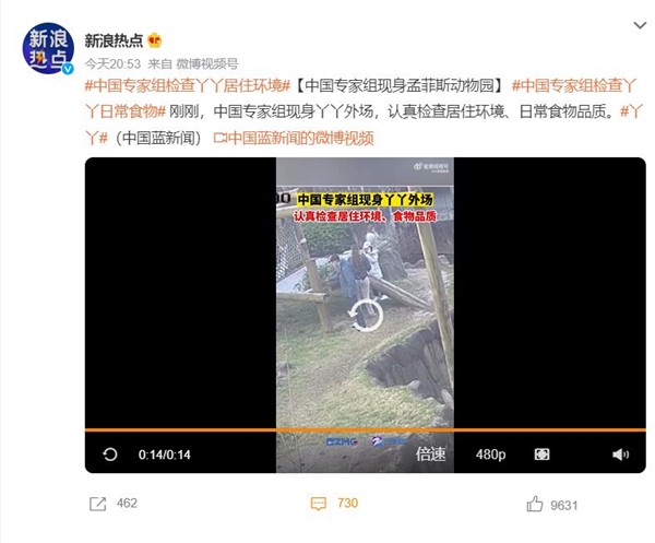中国专家组检查丫丫日常食物:同时检查居住环境