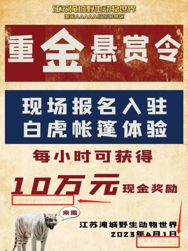 动物园回应与虎同住1小时奖10万:愚人节宣传 老虎将帐篷撕毁