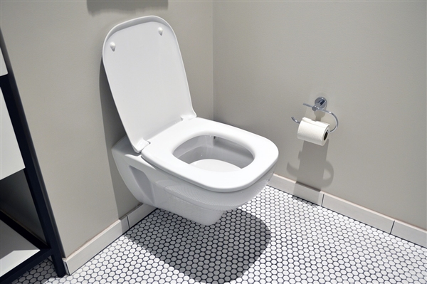 人一生在厕所时间累计超过1.5年引热议 比尔盖茨：自己最关注厕所创新