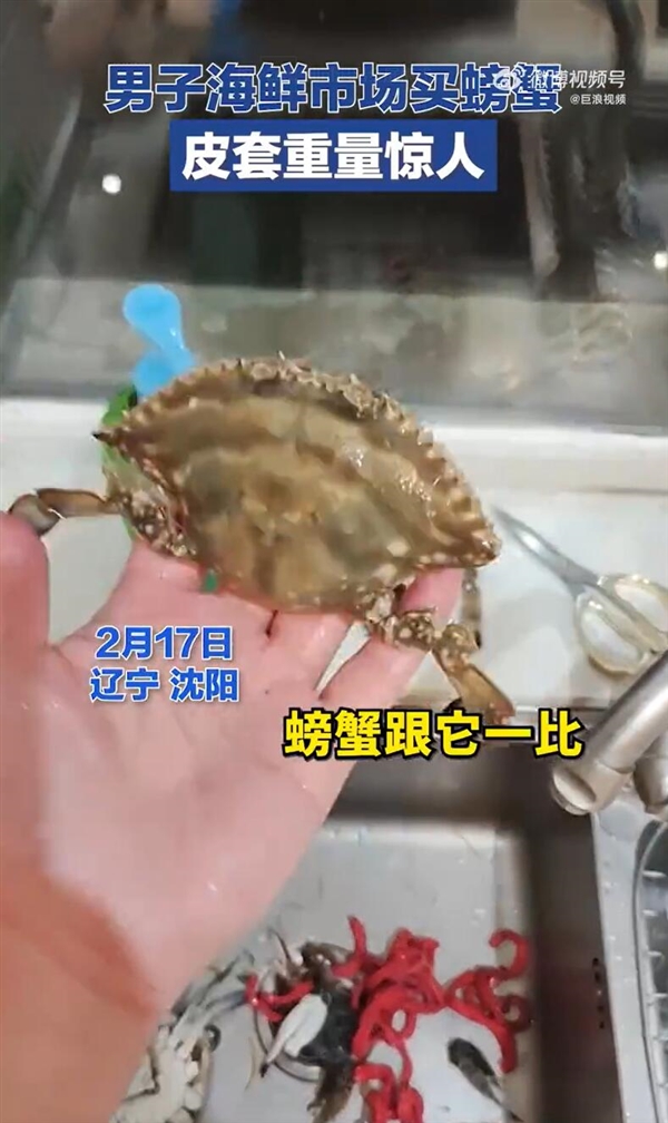 男子称买200元螃蟹皮套得占70元:感觉赔大了
