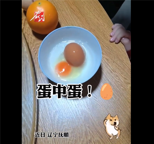 少见!女子家中大巨蛋磕开竟是蛋中蛋 最终收获两枚蛋黄:科普原因