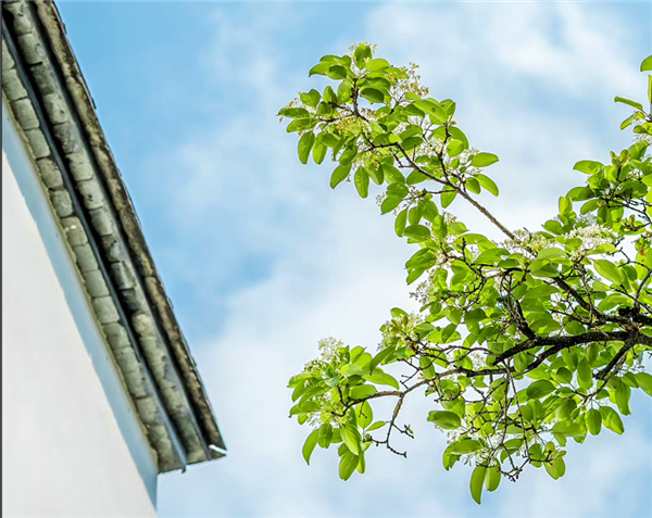 立夏吃一蛋力气长一万！夏天模式开启：你那有什么习俗？
