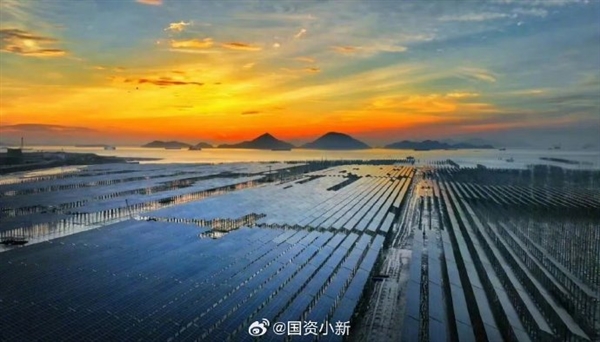 全国首个“核光储多能耦合”滩涂光伏项目并网：用海面积约2560亩