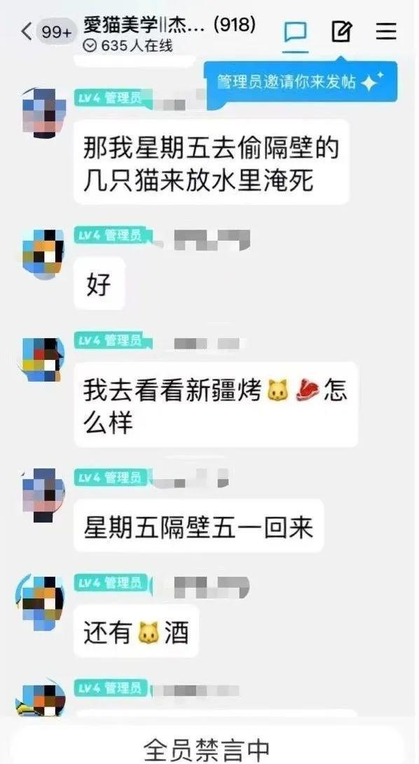 杰克辣条再开直播虐猫?人民网怒批:处刑式虐猫可憎 向人类良知挑战