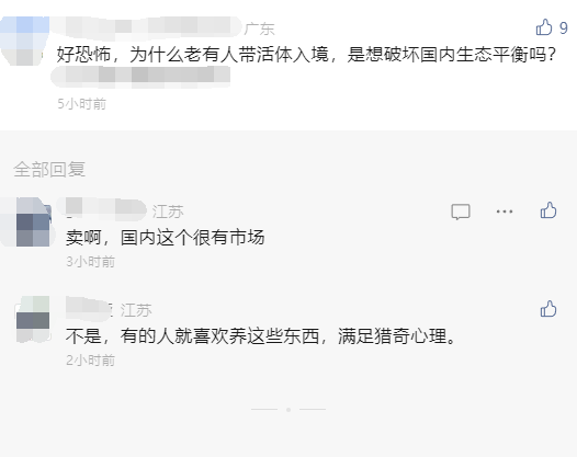 离谱！女子胸口藏16只活蜥蜴入境被查：为印尼斑帆蜥 外来物种危害太大